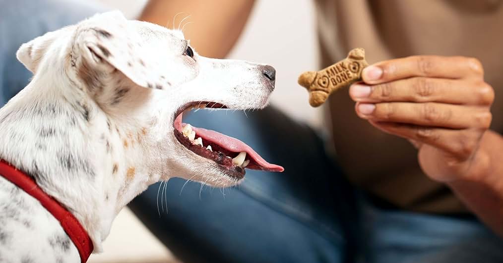 Milk Bone