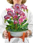 Freshcut Paper Pop Up Cards, Orchid Oasis, 12 inch Life Sized Forever Flower Bouquet 3D Popup Greeting Cards with Note Card and Envelope