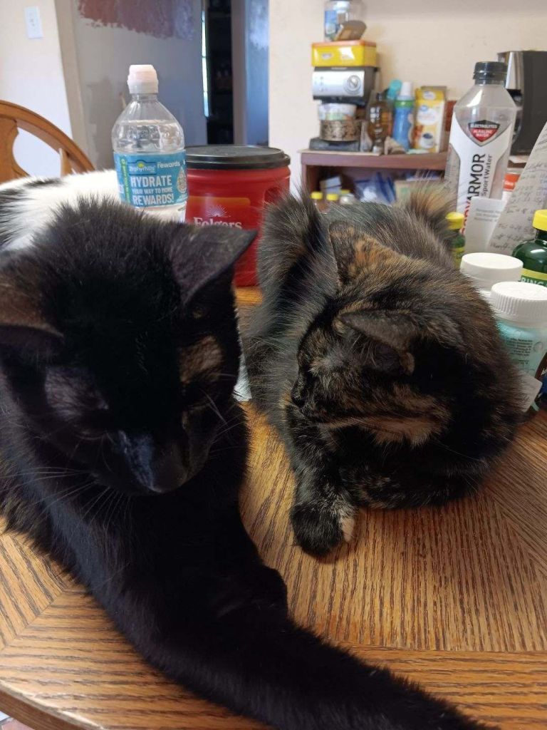 Charlie & Molly #NationalPetParentsDay