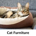 Cat Furniture 