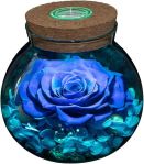 Preserved Real Roses with Colorful Mood Light Wishing Bottle, Eternal Rose,Never Withered Flowers, Table Decor,Christmas Anniversary Valentine's, Blue 4.3inch, 1pcs#NationalThoughtfulDay
