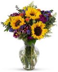 Benchmark Bouquets, Flowering Fields, Glass Vase Included, Gift Fresh Flowers for Birthday, Anniversary, Get Well, Sympathy, Congratulations, Thank You, Just Because#NationalThoughtfulDay