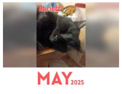 2025 calendar our Harriet made May poster child!